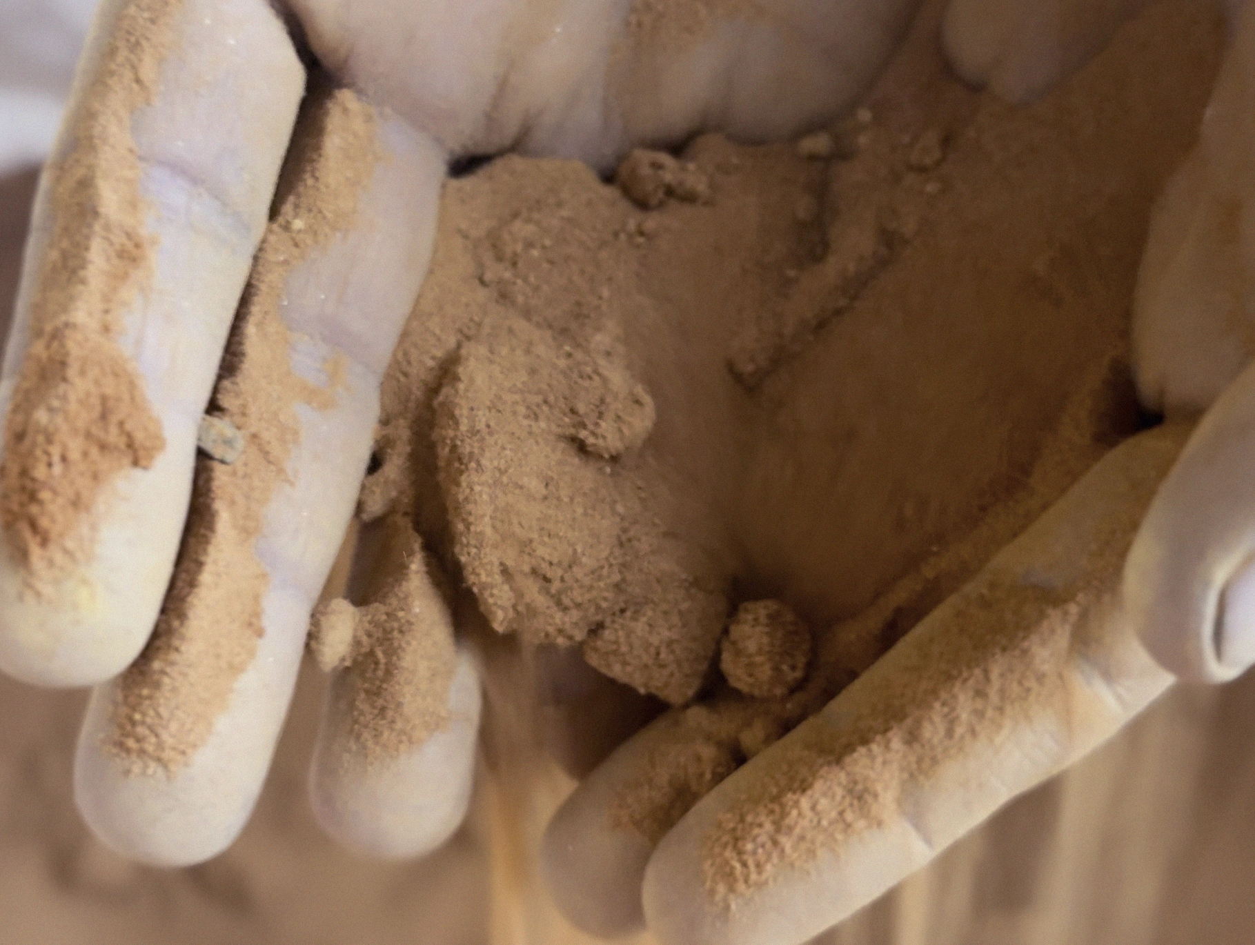 Luttum Concept, one team